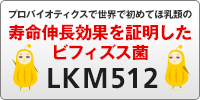 ビフィズス菌LKM512