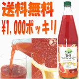 【送料無料】有機ブラッドオレンジジュースコミコミ１０００円