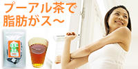 体脂肪を考えるお茶(プーアル茶)カップ用ティーバック2g×20包