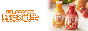 野菜の戦士 ブランドサイト