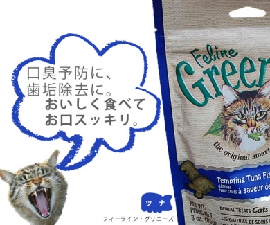 フィーライングリニーズ キャット