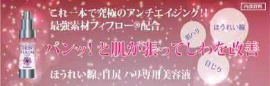 株式会社アリープ