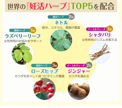 妊娠前・妊娠準備ハーブティー|世界の「妊活ハーブ」TOP5を配合