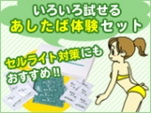 あしたば本舗ホームページへ