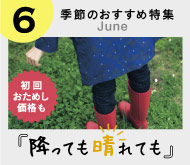 季節のおすすめ特集