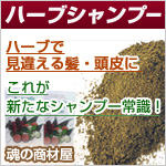 これが新たなシャンプー常識!ハーブで見違える髪・頭皮に