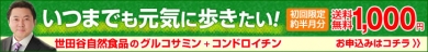 グルコサミン+コンドロイチン≪特集ページ2≫