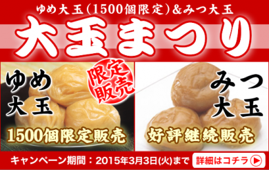 梅見月 大玉まつり
