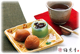 紀州・南部川 梅見月