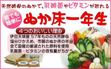 ソォ―イ 天然酵母 ぬか床 コーボンマーベル 便秘 対策 通販