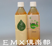 EMX倶楽部