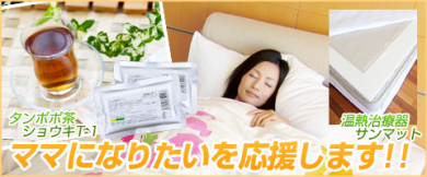 不妊 冷え性 タンポポ茶 対策 効果 サンマット