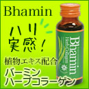 Ԃ@R[Q@hN@e@n[u@ qA_@ʔ