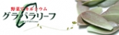 グラパラリーフ