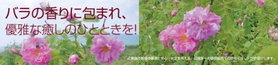 株式会社ほんの木