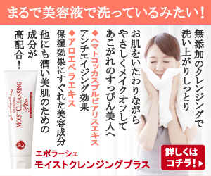 モイストクレンジングプラス