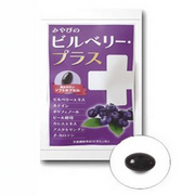 ビルベリープラス