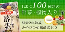 酵素サプリ！みやびの植物酵素100 