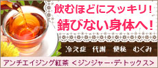 ジンジャー・デ・トックス