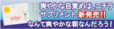 なんて爽やかな朝なんだろう!