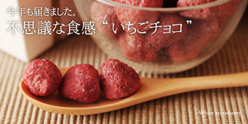 アンジェ web shop 【不思議食感 いちごチョコレート】