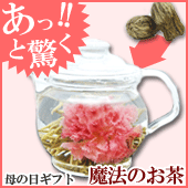 あっと驚く!【魔法の母の日ギフト】カーネーションの花咲くお茶セット