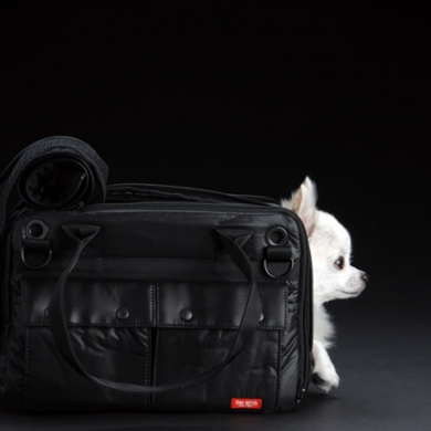 愛犬も満足!最高峰のスペックを備えたDUCAシリーズ