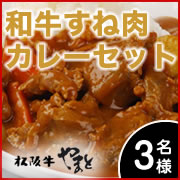 やまとの牛スネのカレーセット-特選松阪牛専門店やまと