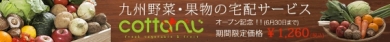 安心・新鮮な九州野菜をお手頃価格でお届け!cottaべじ
