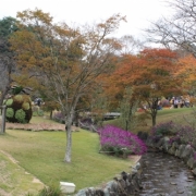 立体花博もよいですが、しっとり紅葉がステキ