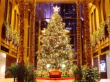 「クリスマスツリー」の画像