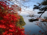 「「神の斎く（いつく）住居（すまい）」　竹生島の秋」の画像（1枚目）