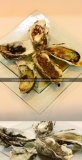 「生牡蠣の各国ソース」の画像