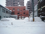「２６年ぶりの大雪の中での路上教習ＩＮ新潟」の画像（1枚目）