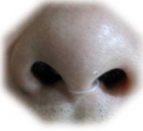 口コミ記事「旦那の鼻穴」の画像