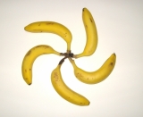 「かざぐるまバナナ♪」の画像（1枚目）