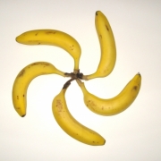 「かざぐるまバナナ♪」バナナのベストショット写真募集！？【10名】モニターの投稿画像