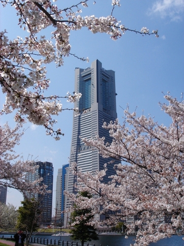 近代的な建築物と、日本の風物詩の画像（1枚目）