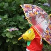 「小さな写真家」雨の季節を感じるフォト 大募集！ ～みんなで雨の日々を楽しもう～の投稿画像