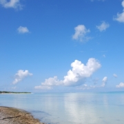 石垣の海