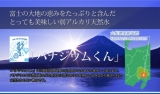 脂質代謝効率が上がる富士山のミネラルウオーターの画像（1枚目）