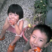「初収穫☆」「トマトは好きですか？」キッズモデル大募集!!の投稿画像