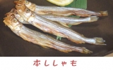 「本シシャモとカラフトシシャモ食べ比べ☆」の画像