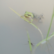 ちょっと、ひとやすみ