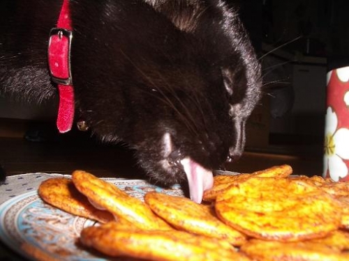 猫も好きなお煎餅の画像（1枚目）