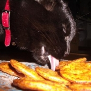 猫も好きなお煎餅