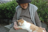 ネコとおばあちゃん