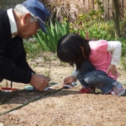 おじいちゃん、芽が出たらいいね。