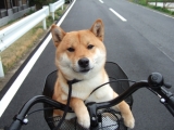 趣味は自転車