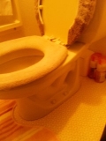 「トイレ」の画像